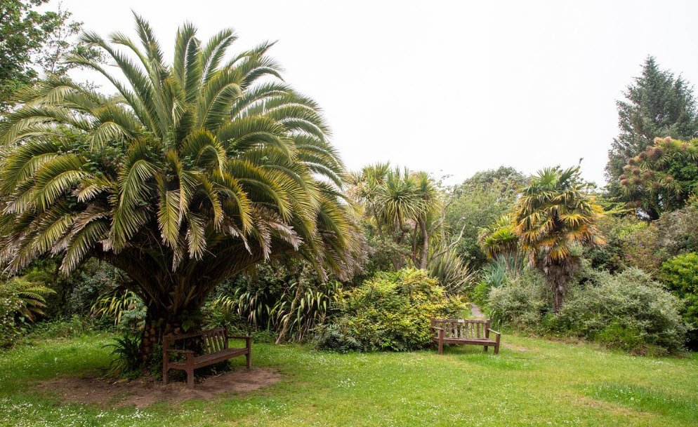 Carreg Dhu Gardens, Isles of Scilly, United Kingdom